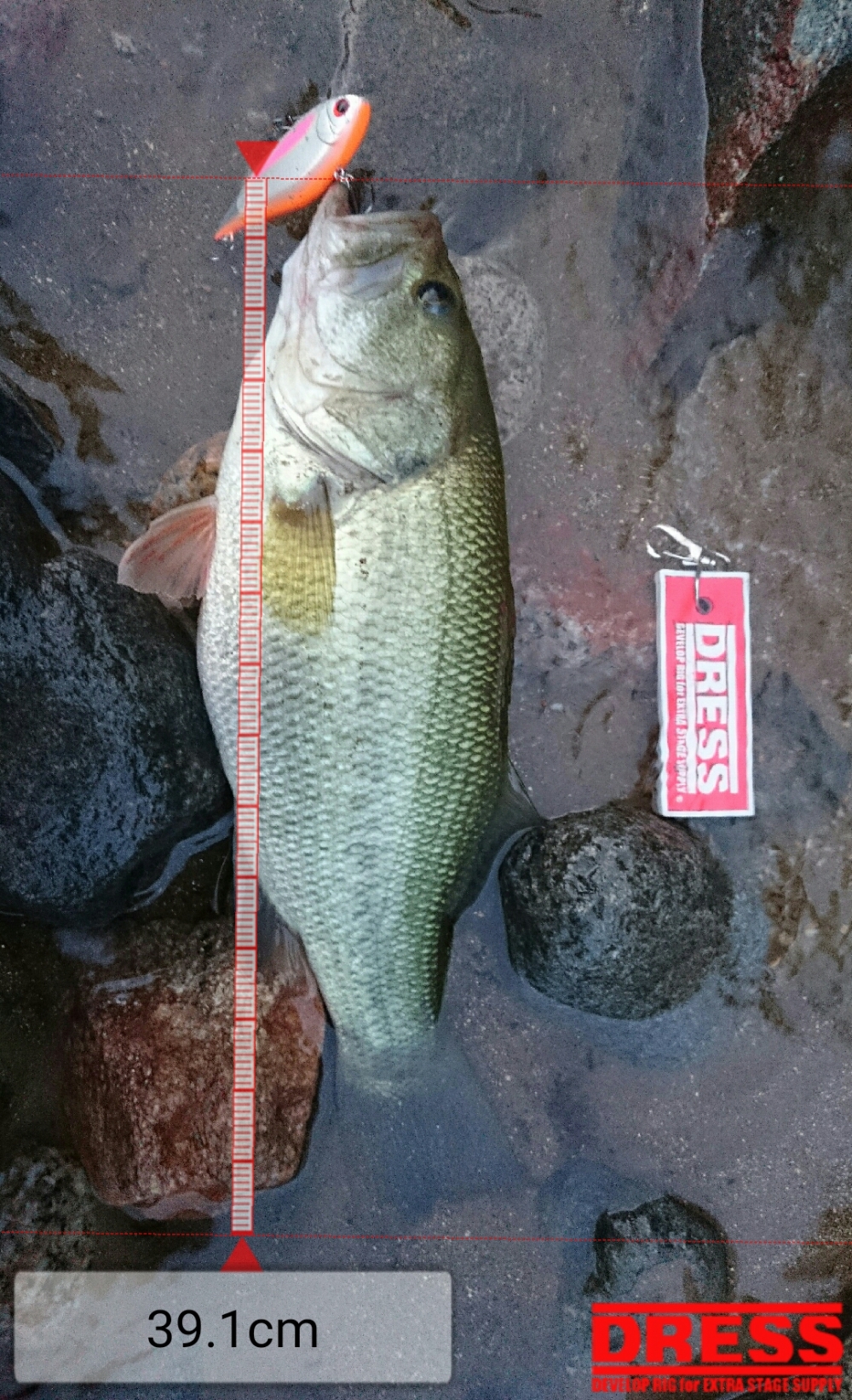 178_0_715d4b9326431b6e2e6f08624762c022