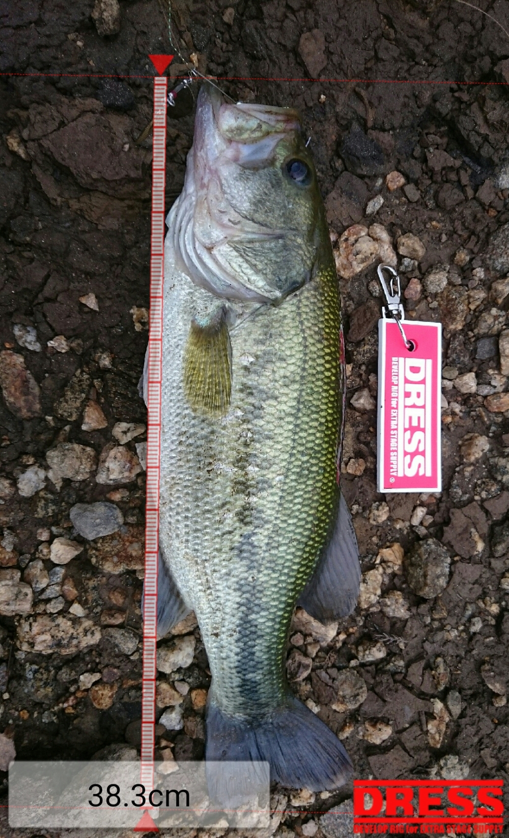 178_0_74af78e7a04f9458d92ba56ed515cf6d