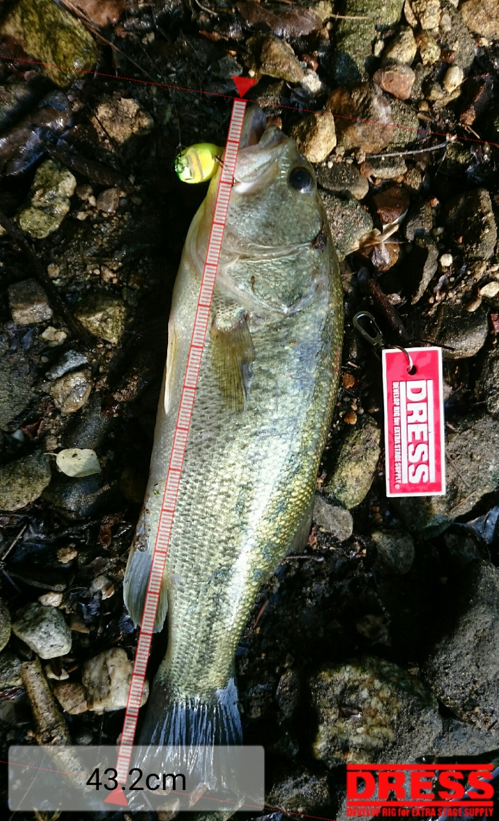 178_0_d27f233f83348a0004124cb9a203a44a