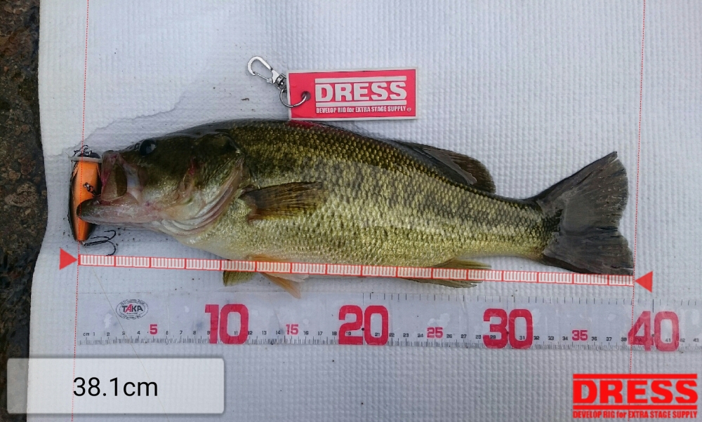 178_0_e1aa8d703dd40cc0526afdff0f9f5ba1