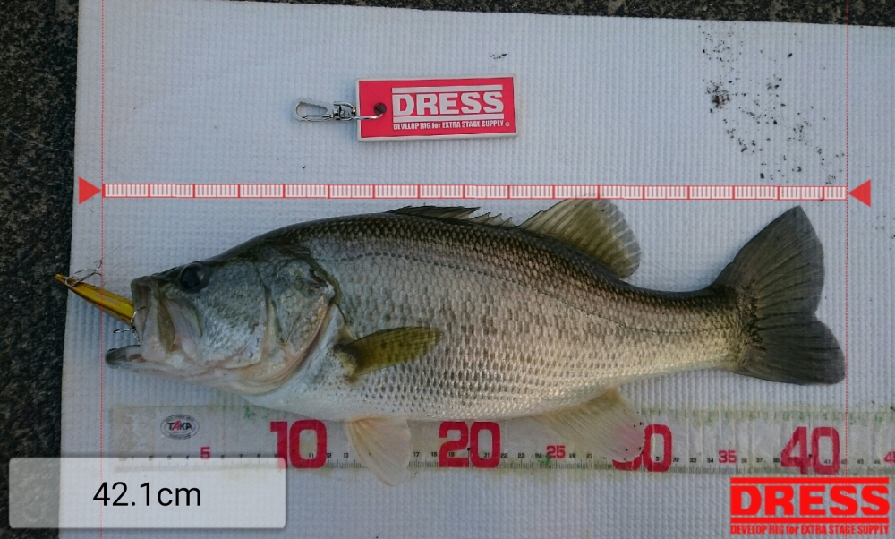 178_0_ef985efe6889ffff0de20687658fcadf