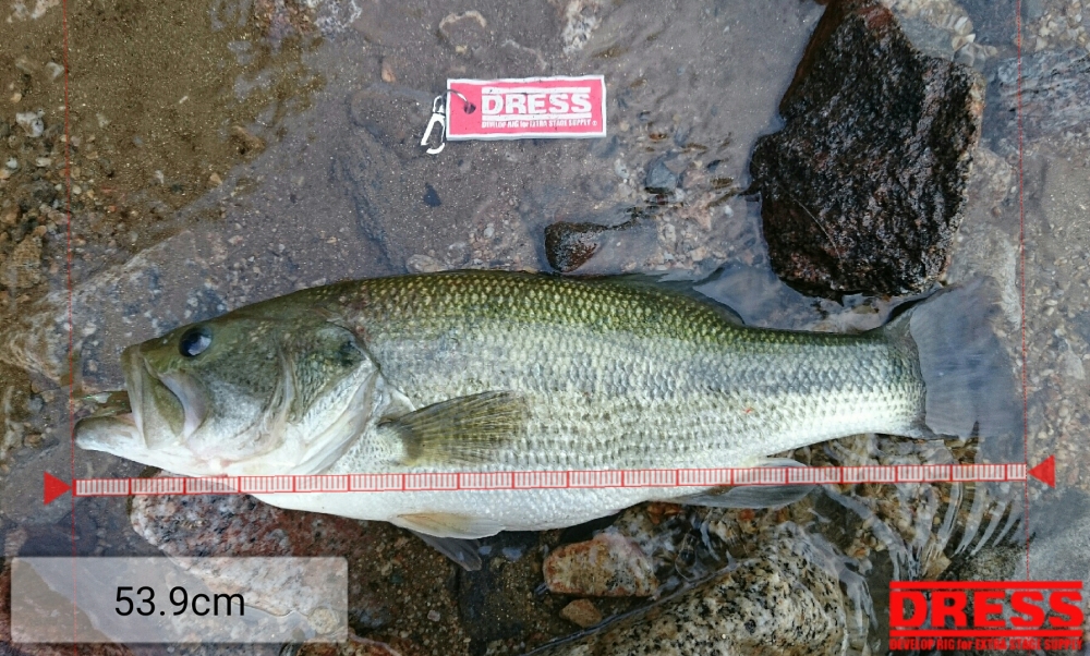 178_0_efbae7a3491862e2e058792743167d00