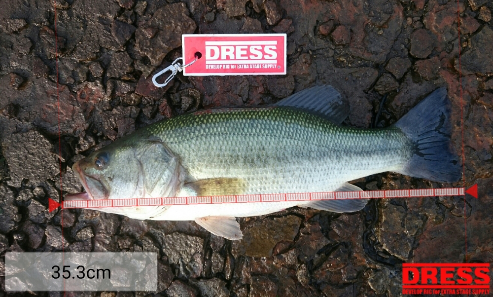 178_0_f413aea9d2c6a1dc0cd1b9aa8e2ff850