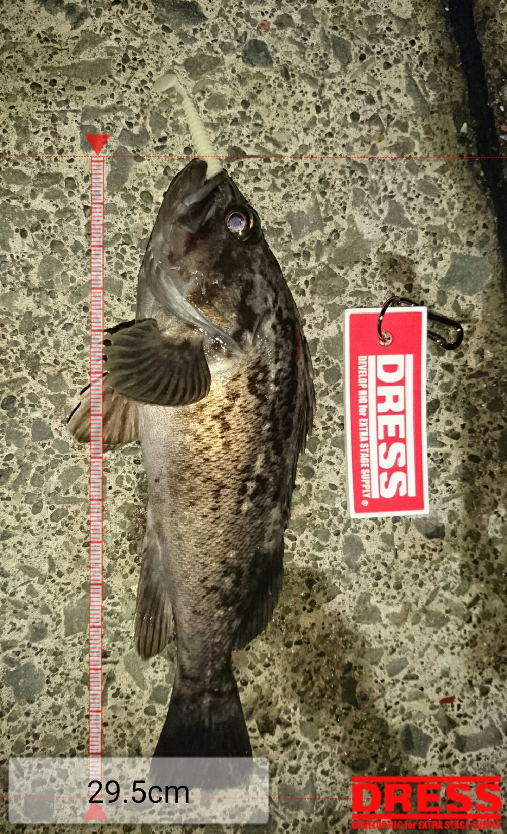 1842_0_f2c2e29d1f3e036b18ca8025bad1f55e