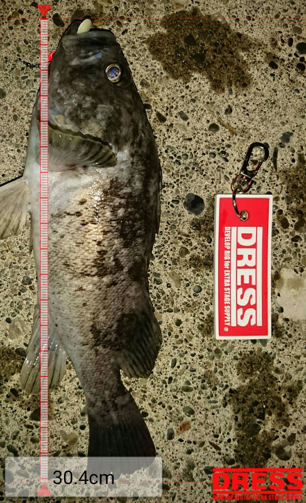 1842_0_f6a2aebbbb4590bfe0439b686c4dbb59