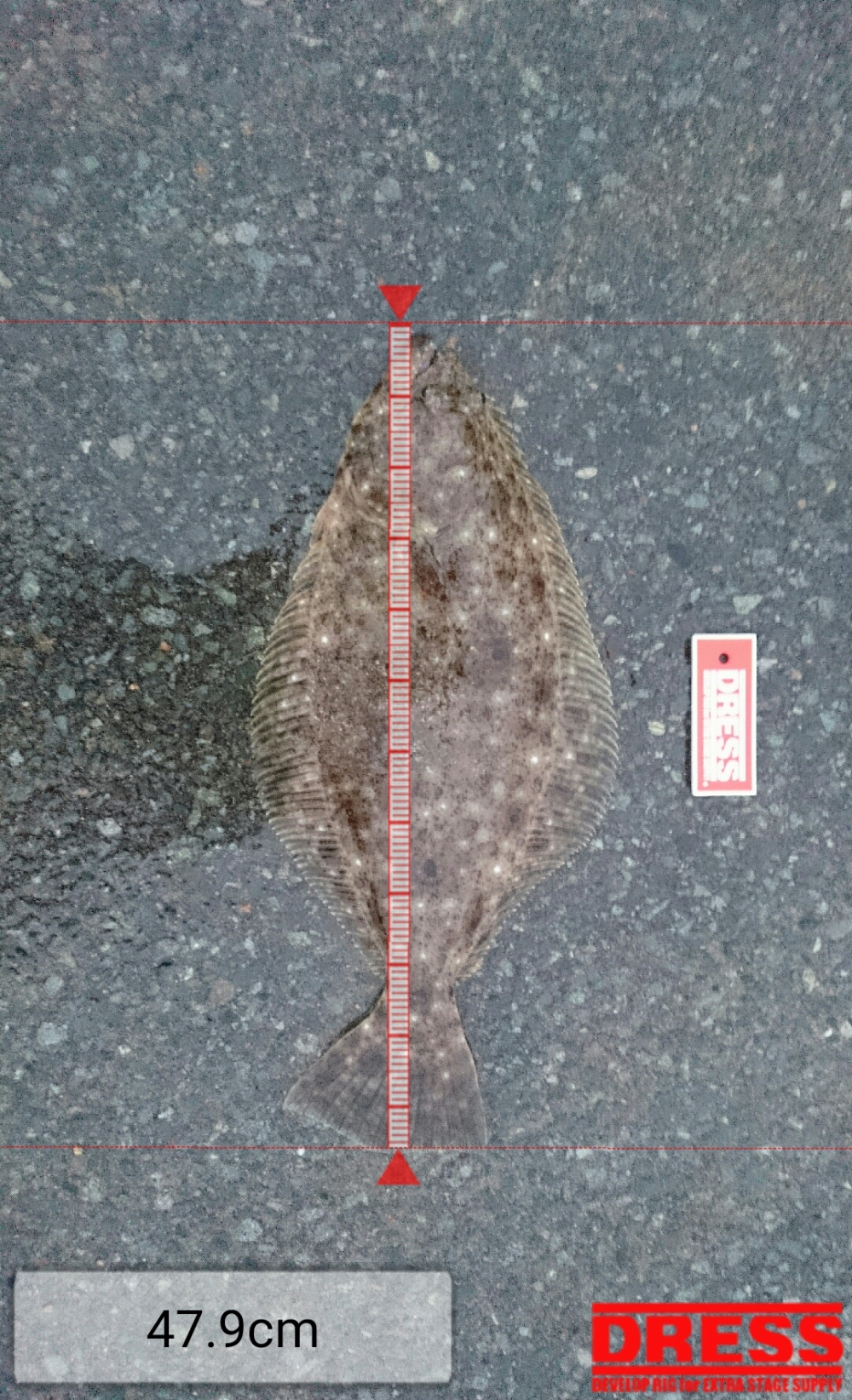 1957_0_223b93bac4193944ffefda656e338f62