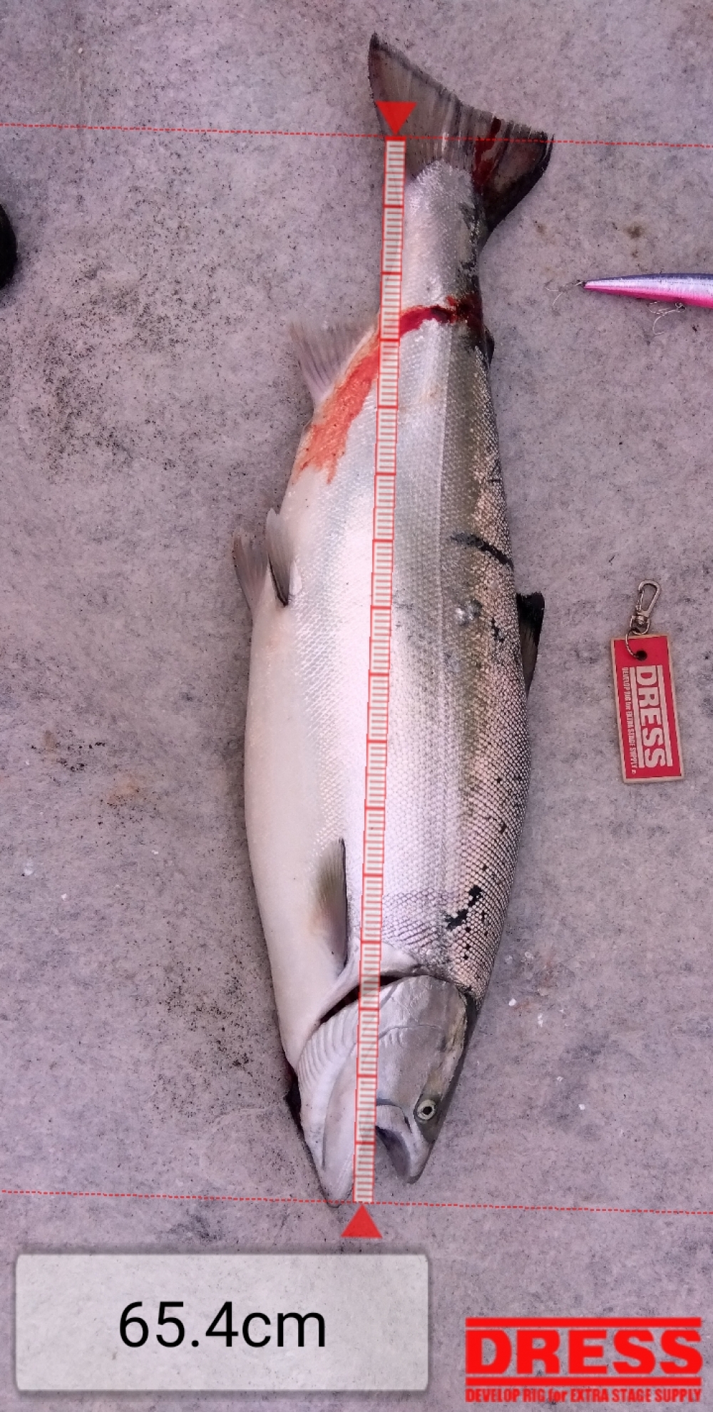 2101_0_b0159b0461b15365903300abf0fe54d7