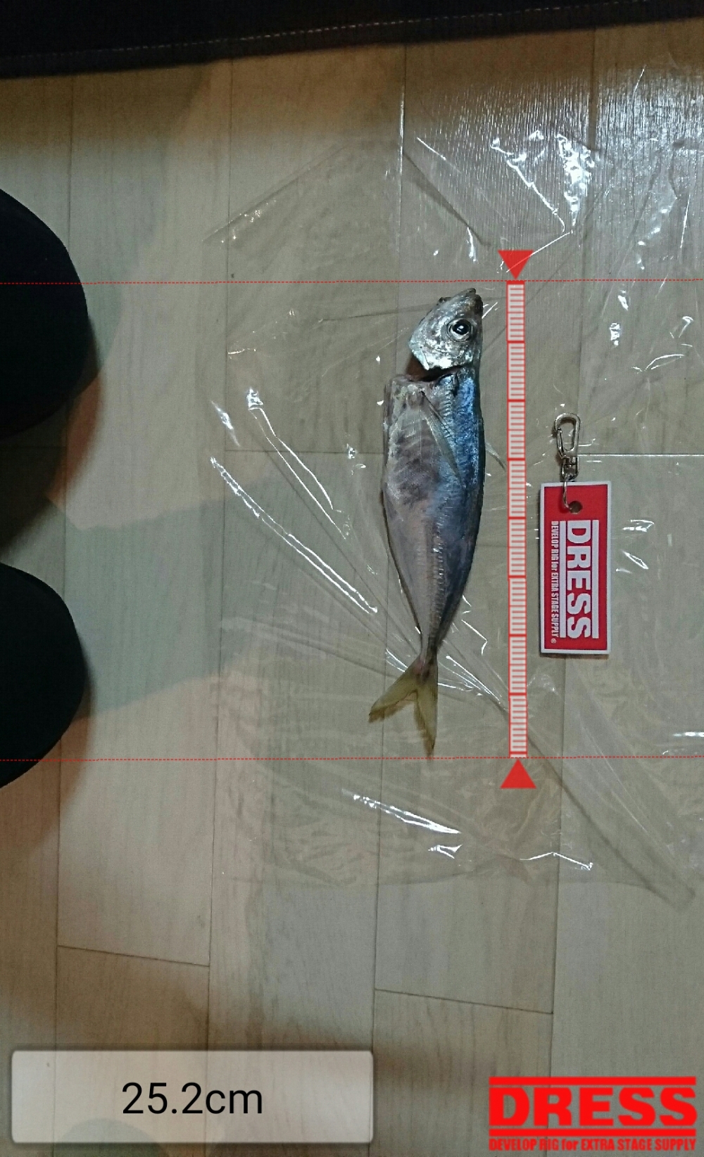 2145_0_6bfc414d9aa9bae33a89b65d2dbe3d1e