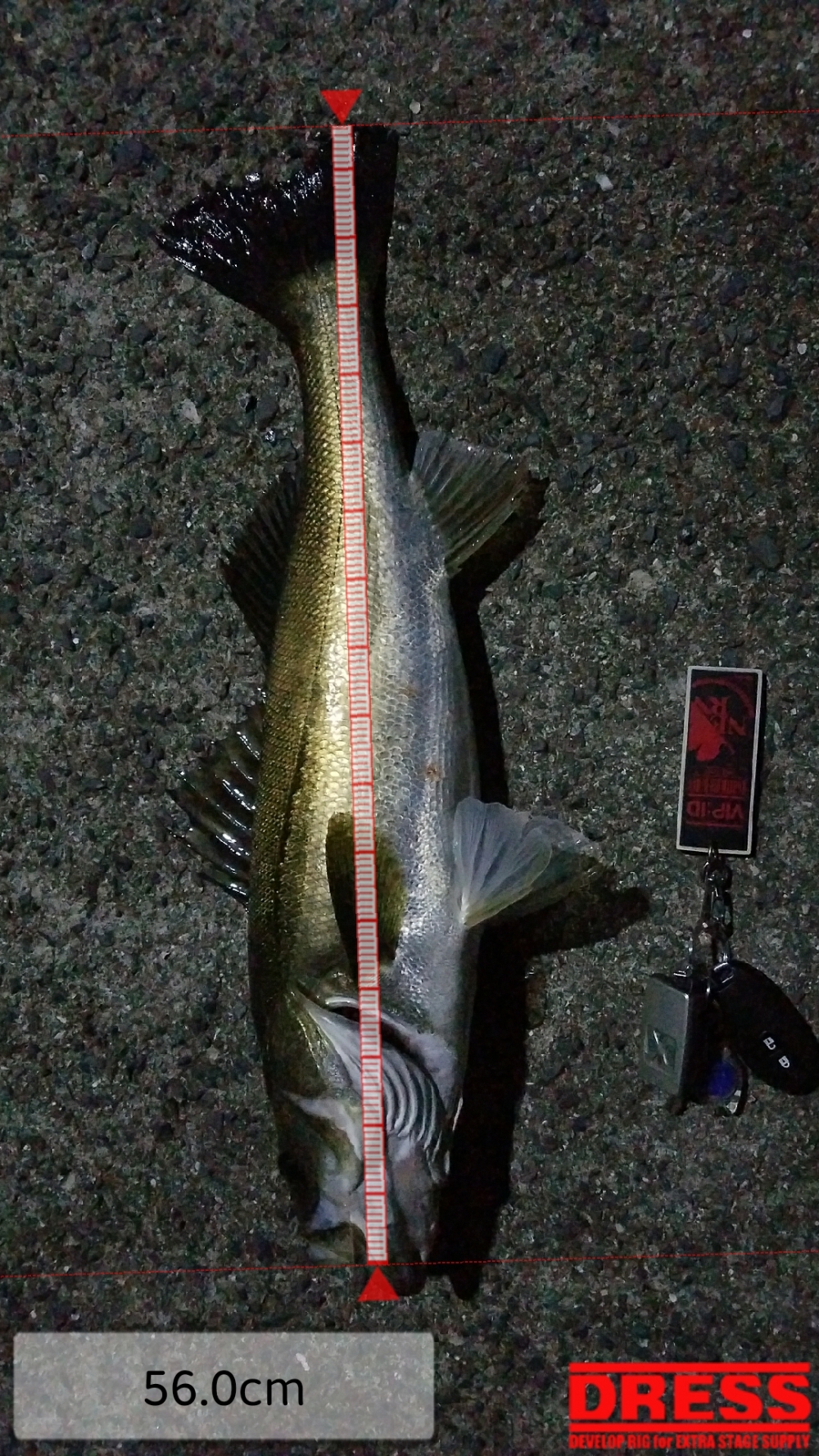 2224_0_5e5ea8fef131d6446b649990e9bf1135