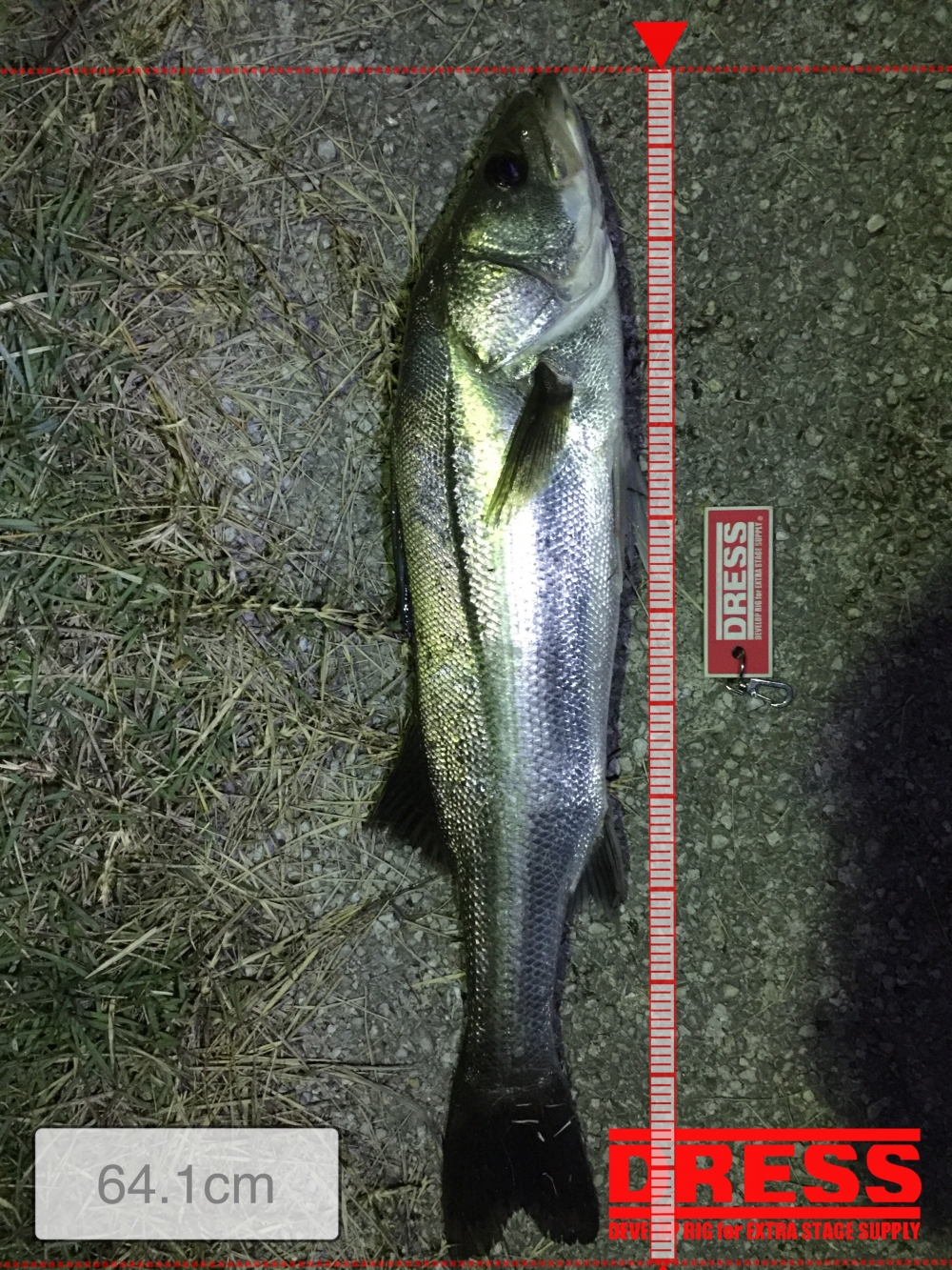 2380_0_a41e92f2942893bbe16d57ab5f40ece1