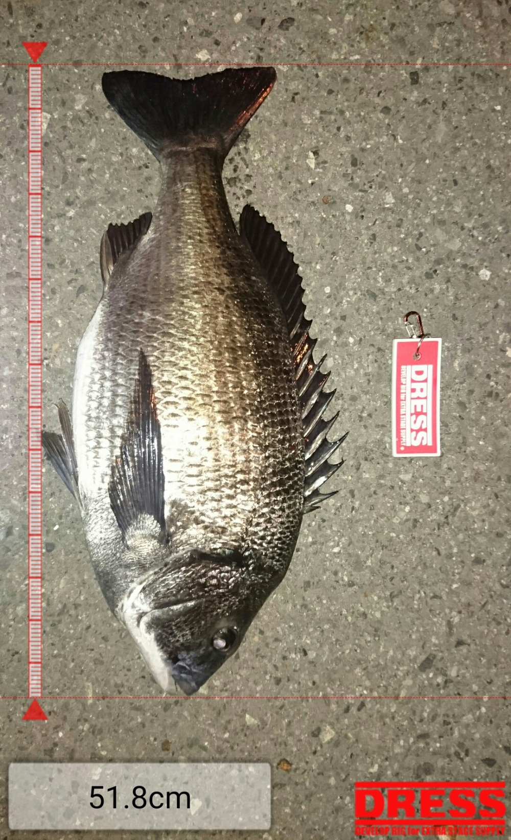 2405_0_eeb6a06c2f6aa8f9d707291e19cb2f2c