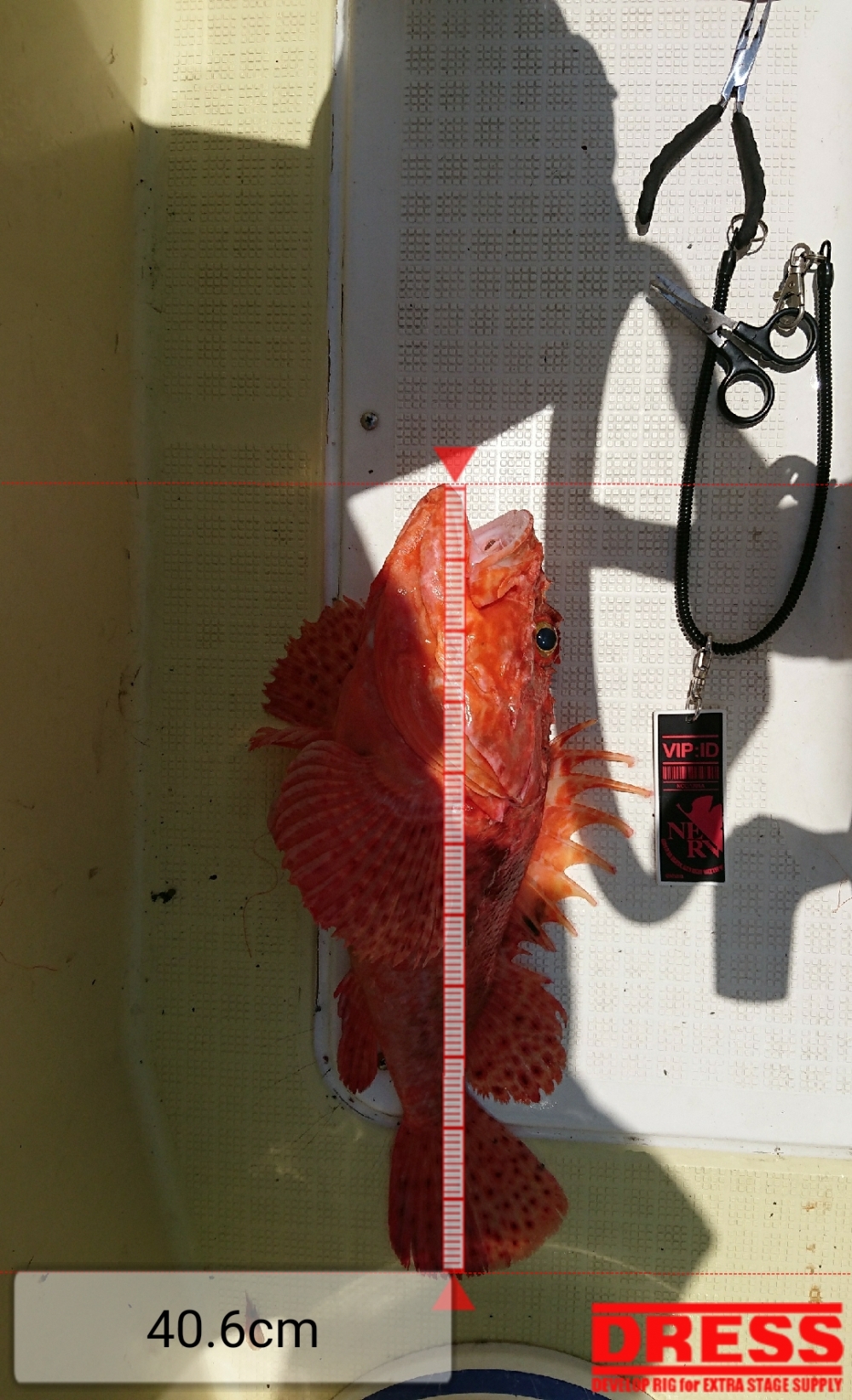 2429_0_c46edecfaf5f30ac41434aa64fb283d4