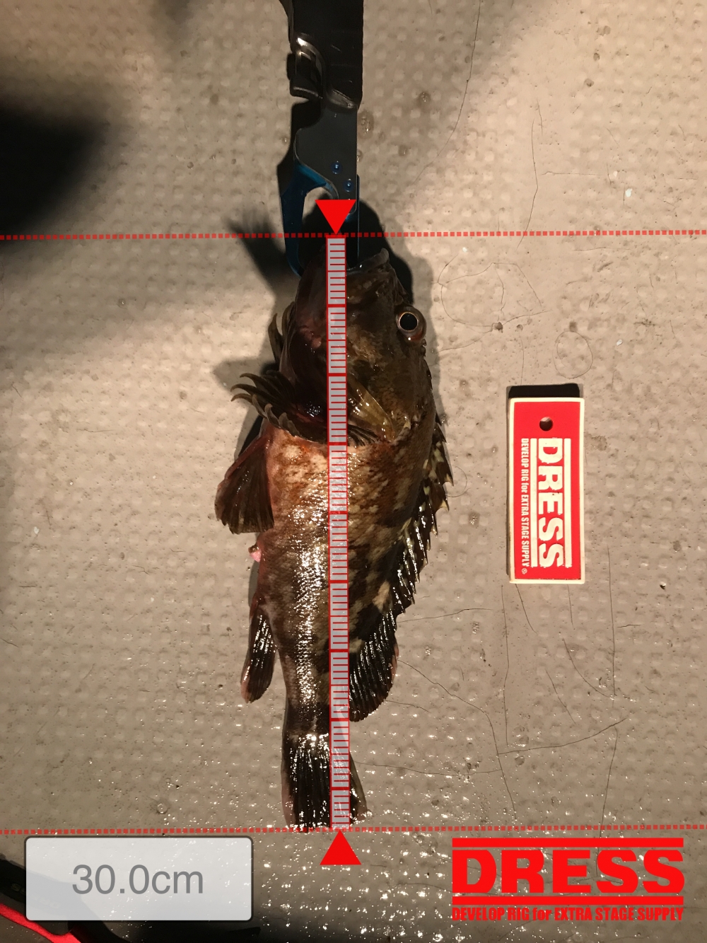 2550_0_513d9833515448277e680a5f88a91ff3