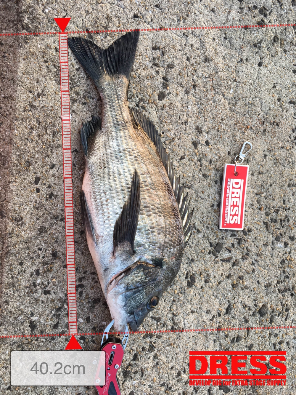 2558_0_a30170db8cef6ab3155a043270b8fe9a