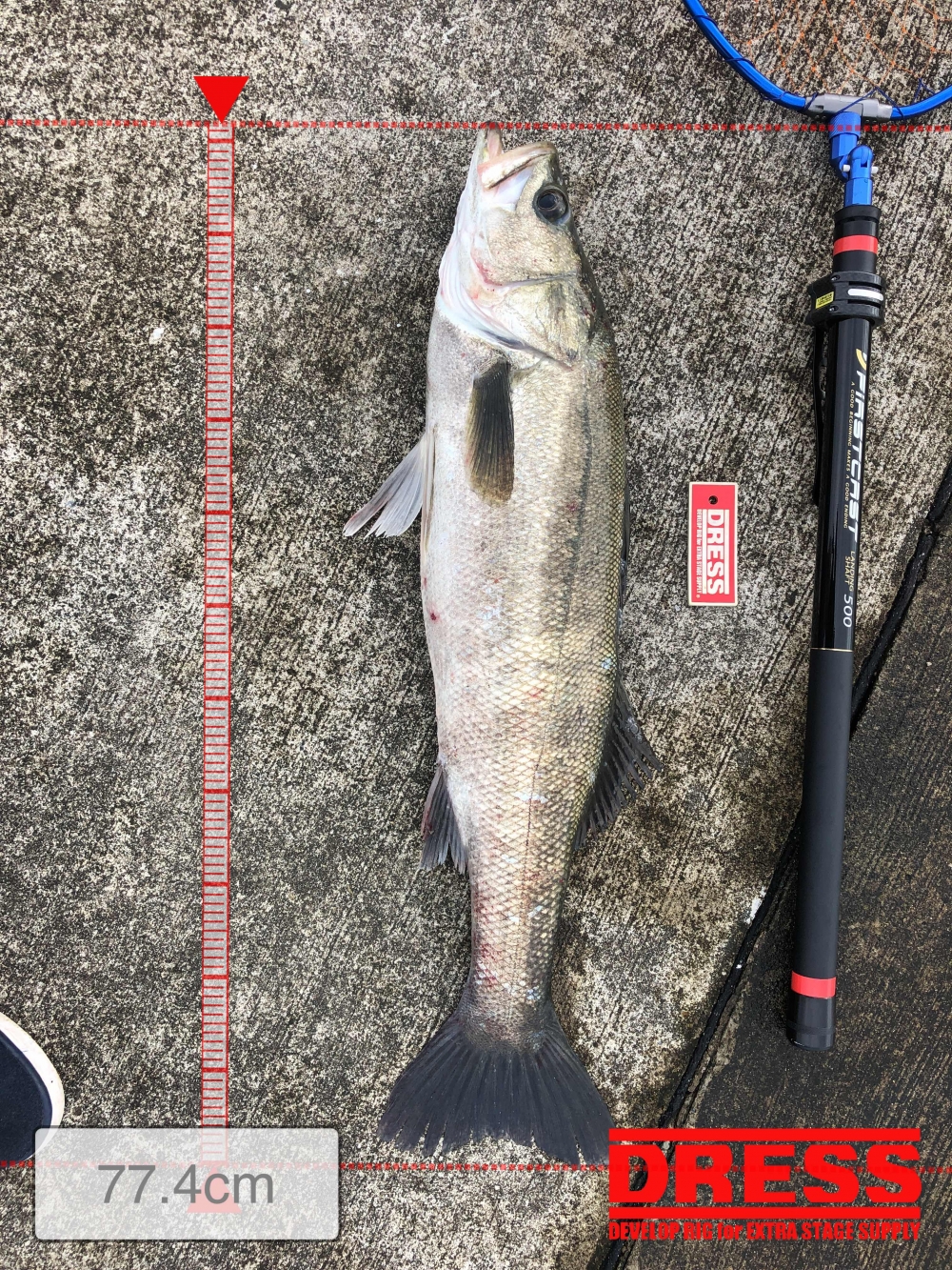 2773_0_6078661fd84d2a07646f26862fa16f2f