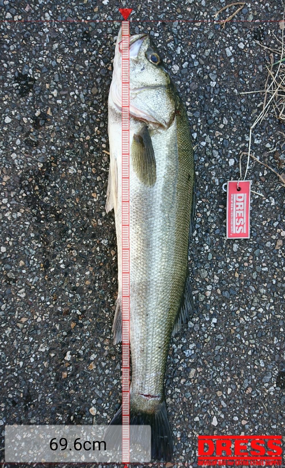 2781_0_f9a720d0acbab99ba915bbbd12650da2