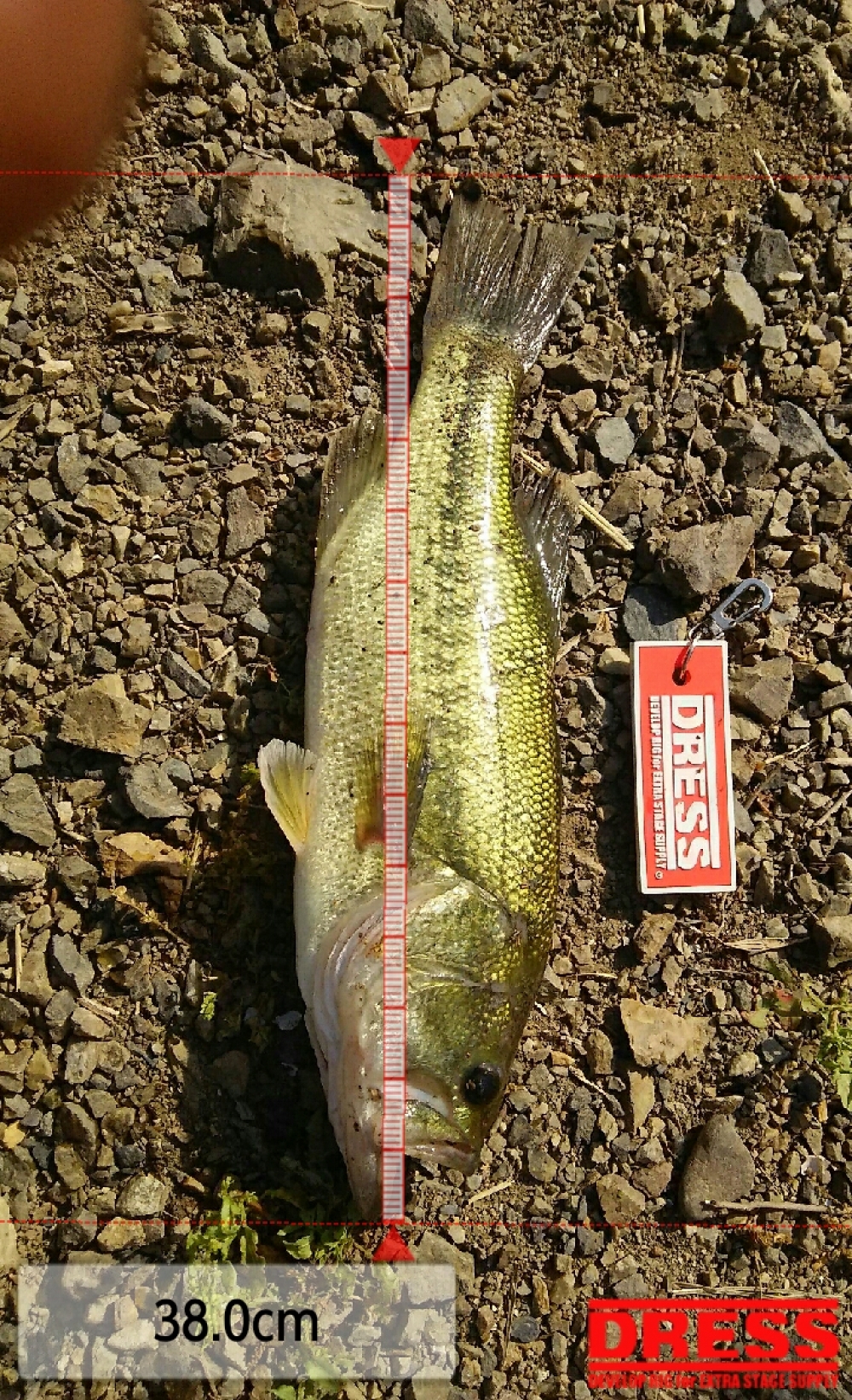 280_0_a015776f1819df75b8e05d671e0a32a3