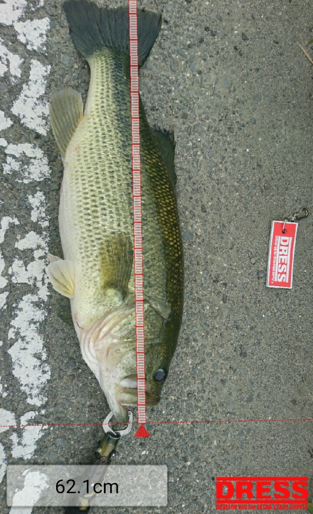 3029_0_5194442ddbb83ab2558aaad212ce4d3a