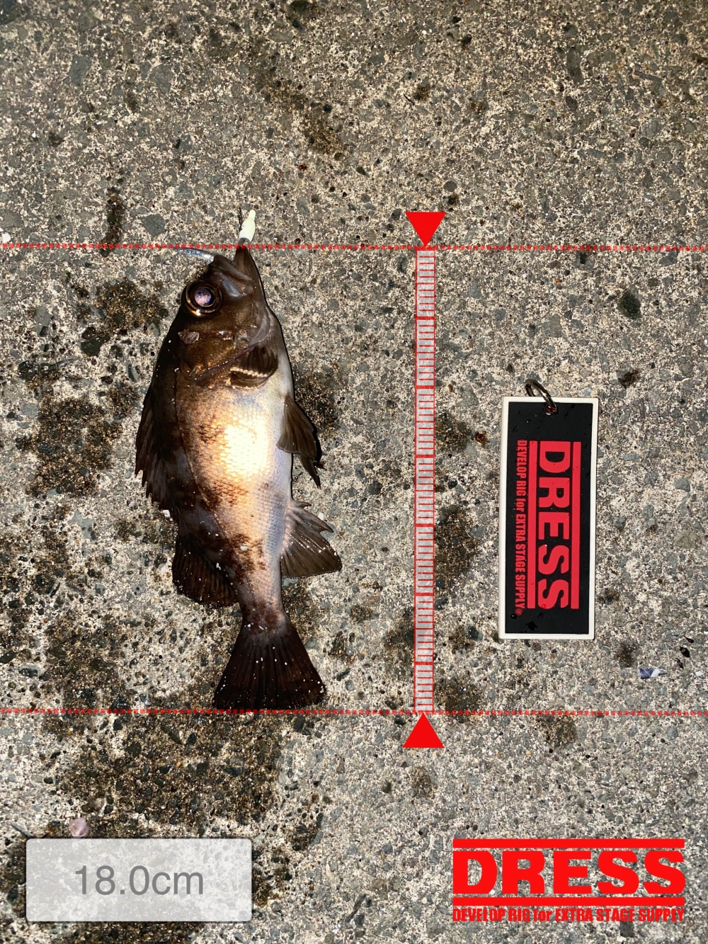 3224_0_5956c9284fd56e54b572e31bc07fdb13