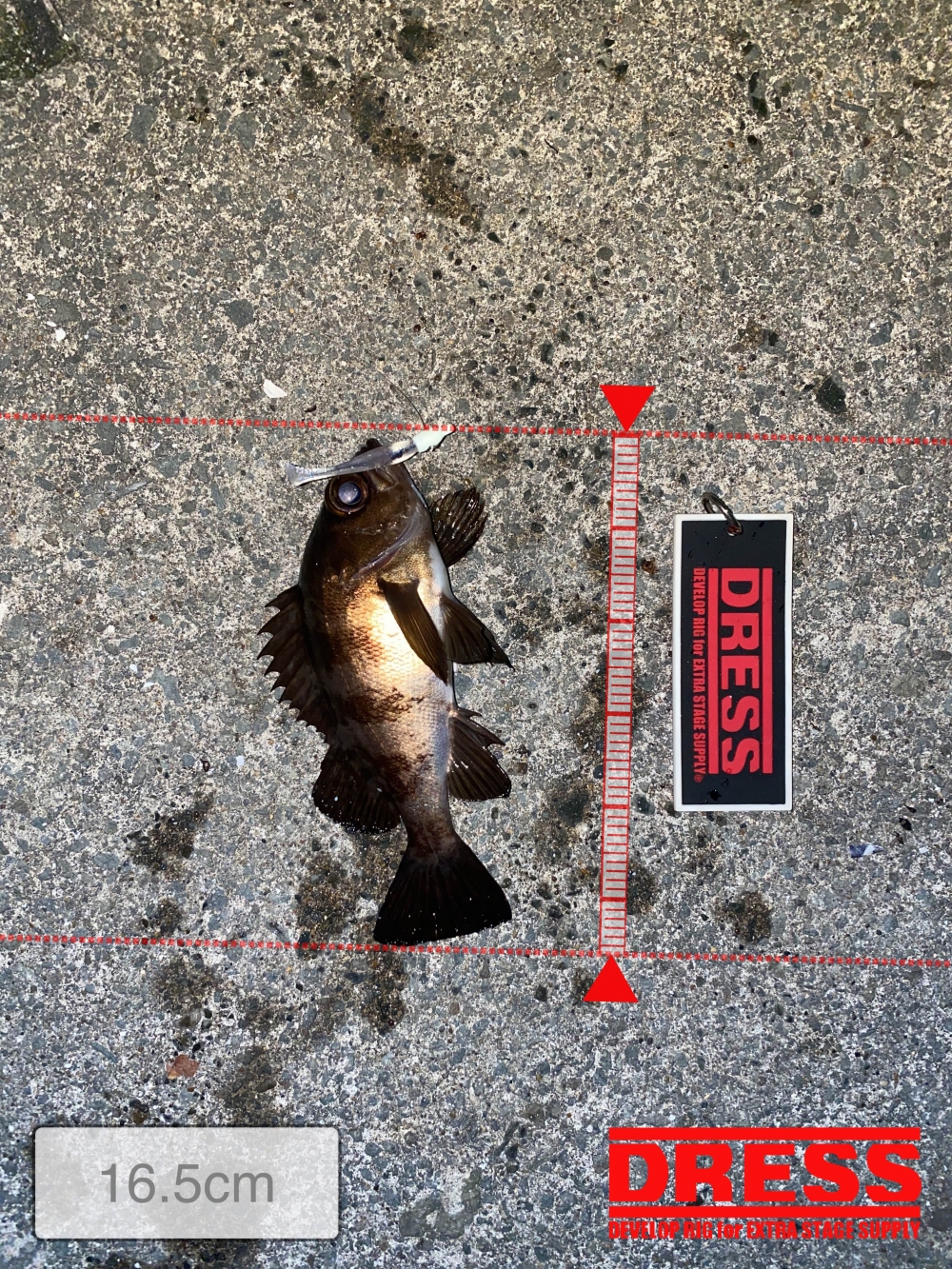 3224_0_be775409186a393ee224c9e1efcbb3b2