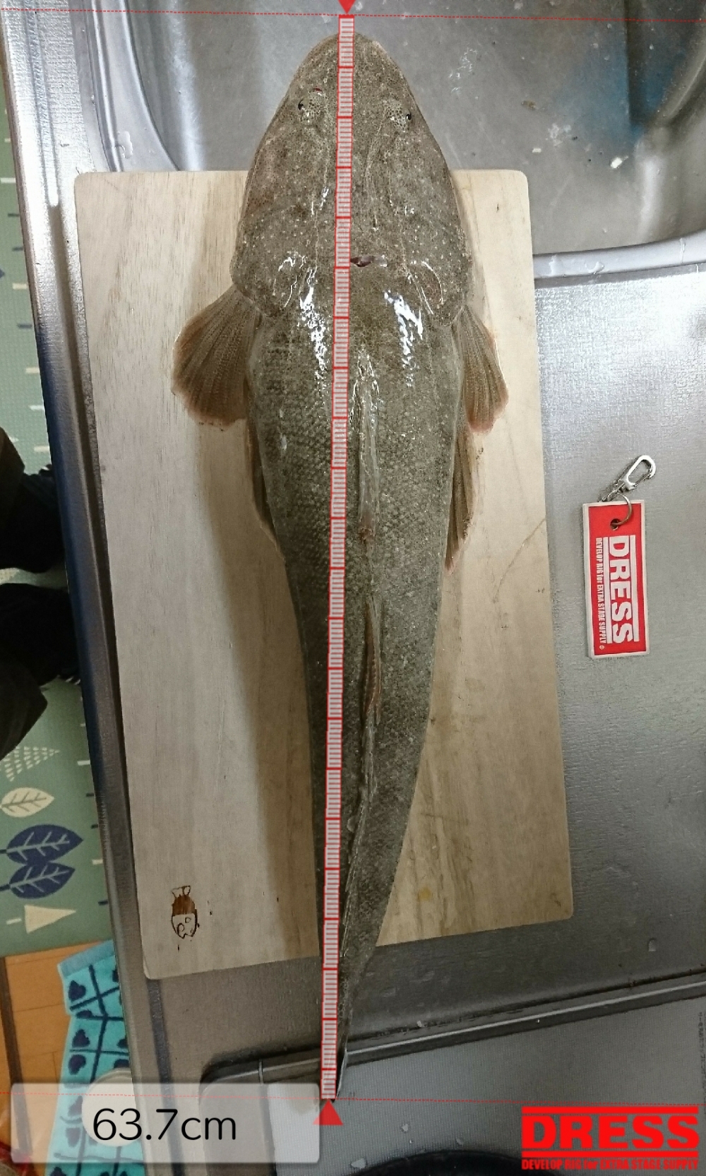 3401_0_0781ccc6ef86e79854a8581850c9e1e4