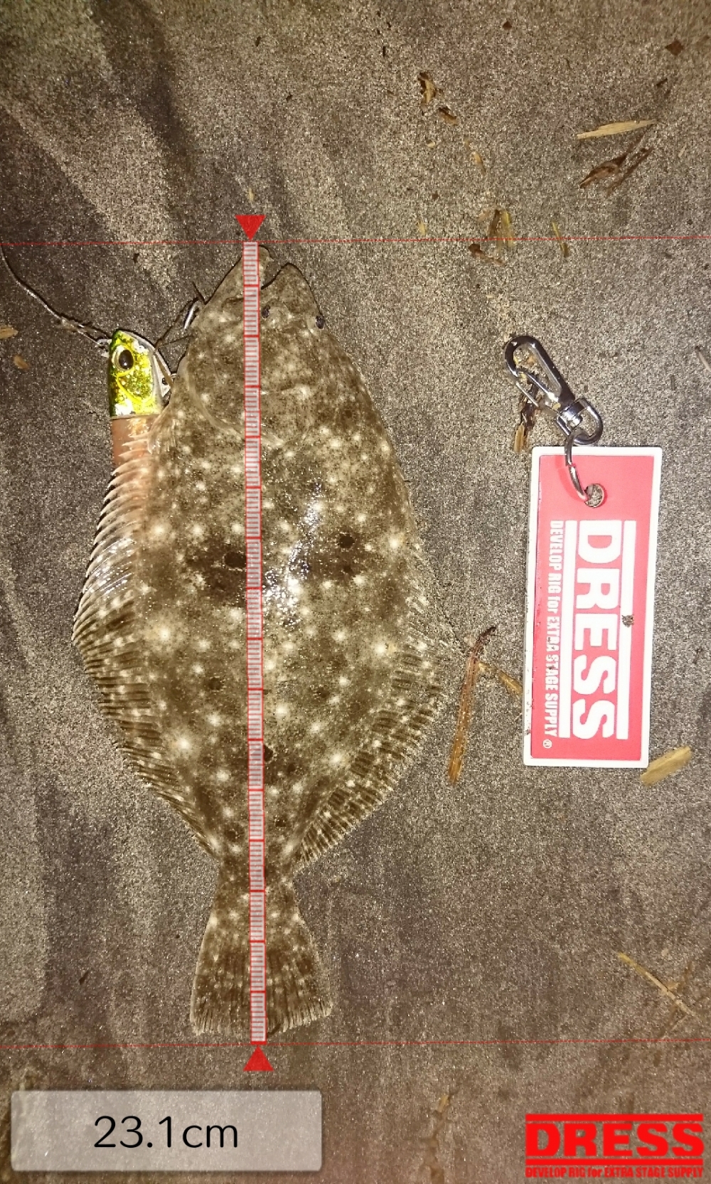 3401_0_a3f95c193c4e0ca458ace887ada4ee07