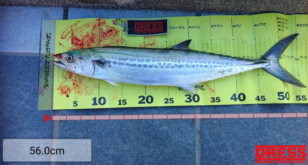 3622_0_167ddb307d9c1e59726bb2d75284ba80