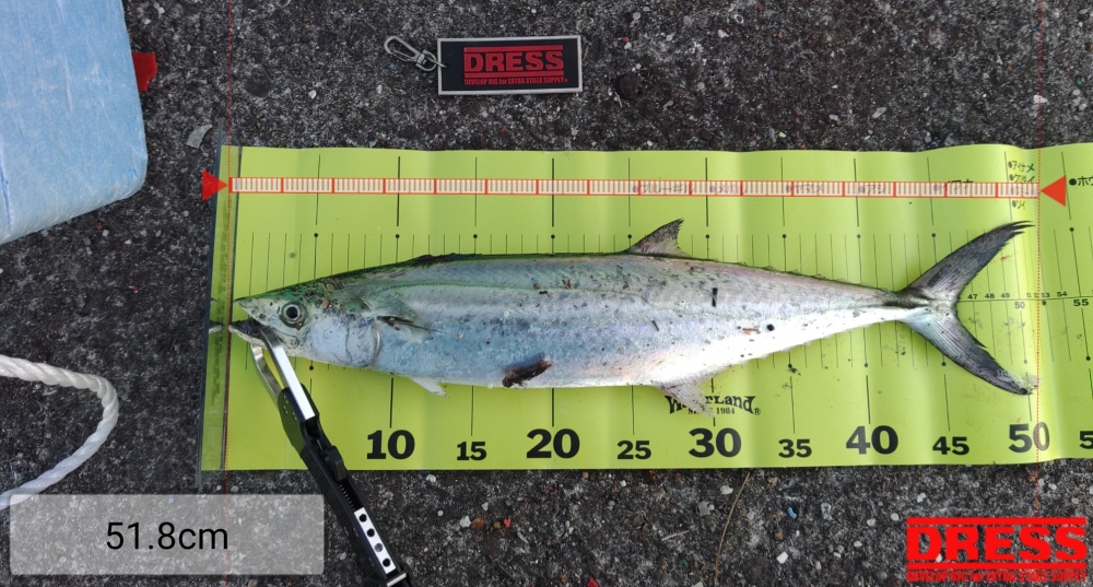 3622_0_4c50732bf317024541a2f17ae88420a9