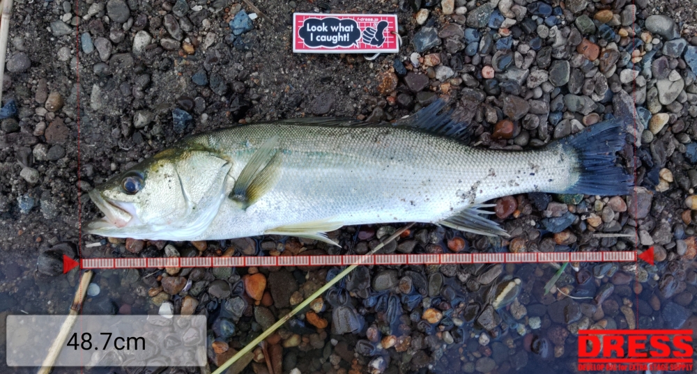 3622_0_a8da337f0065ae95c0f20b082723327c