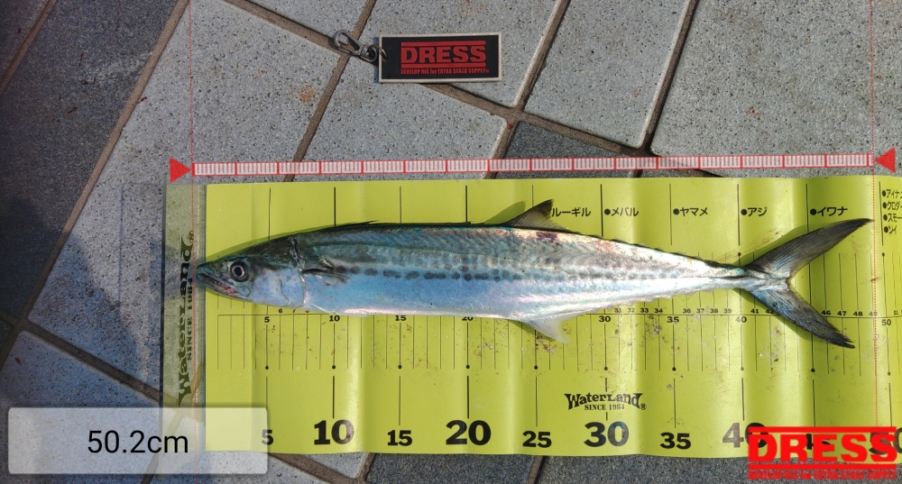 3622_0_bb49580f7636a9499567778e62d46902