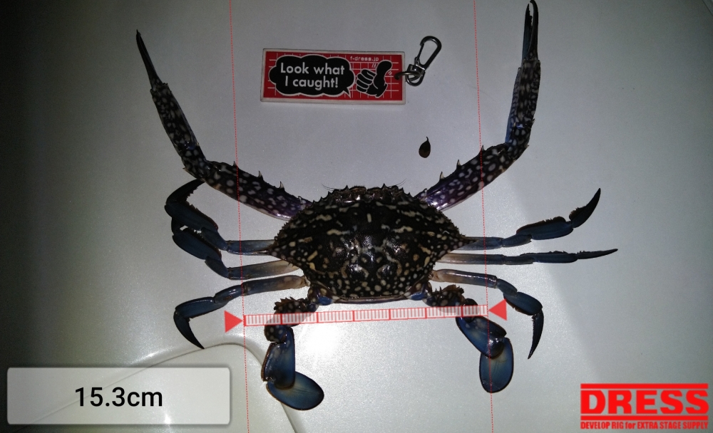 3622_0_f31e4df5f194f508346c852dffe857bb