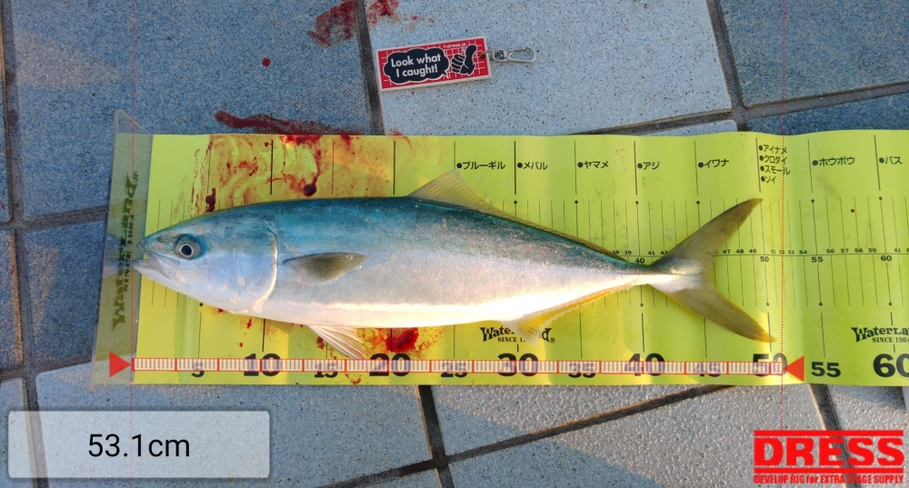 3622_0_f3556d17c89c0ddaca595ceea474dda2