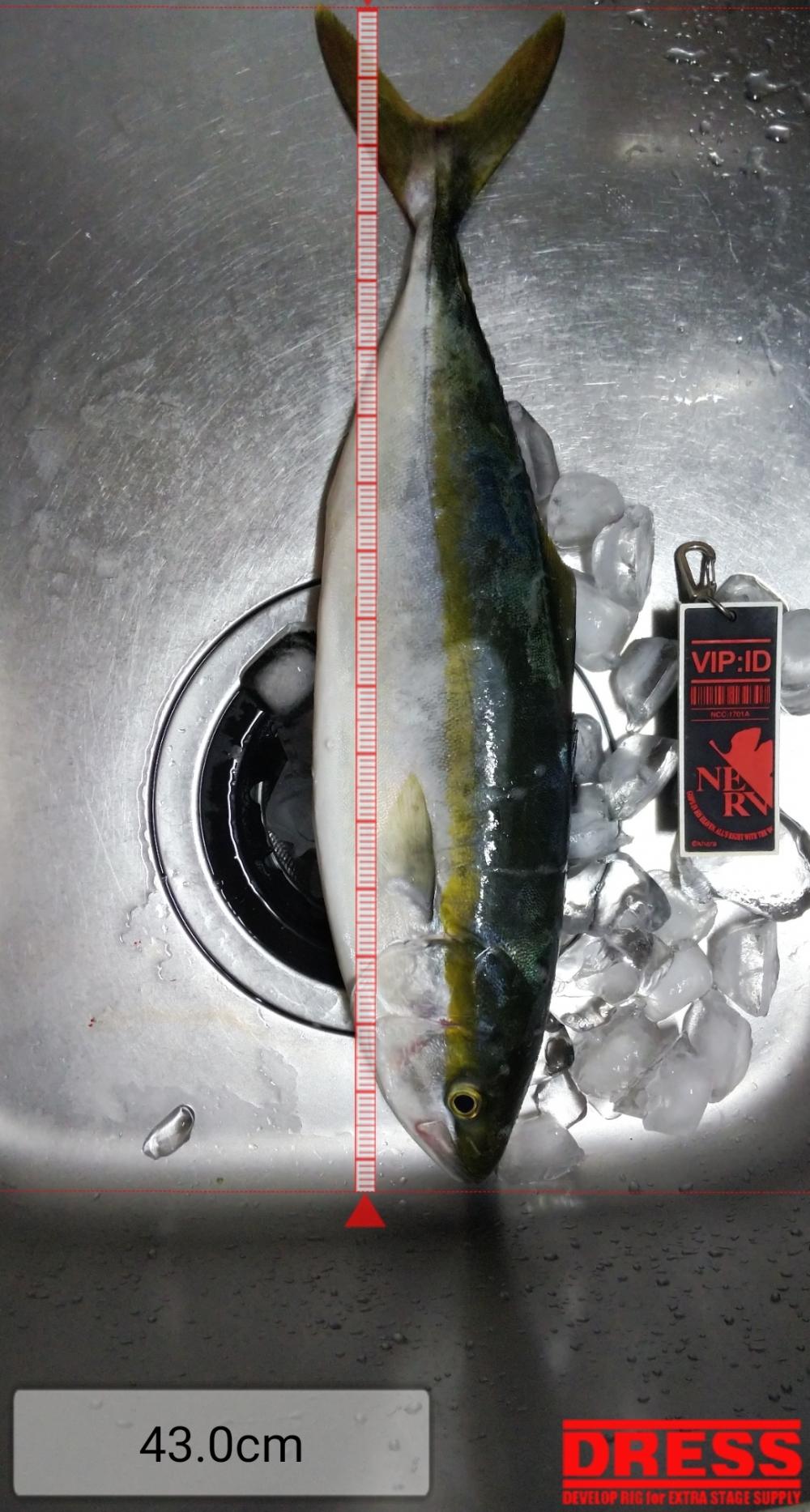 3838_0_1a04e52c562fb9b15218b315f26577ec