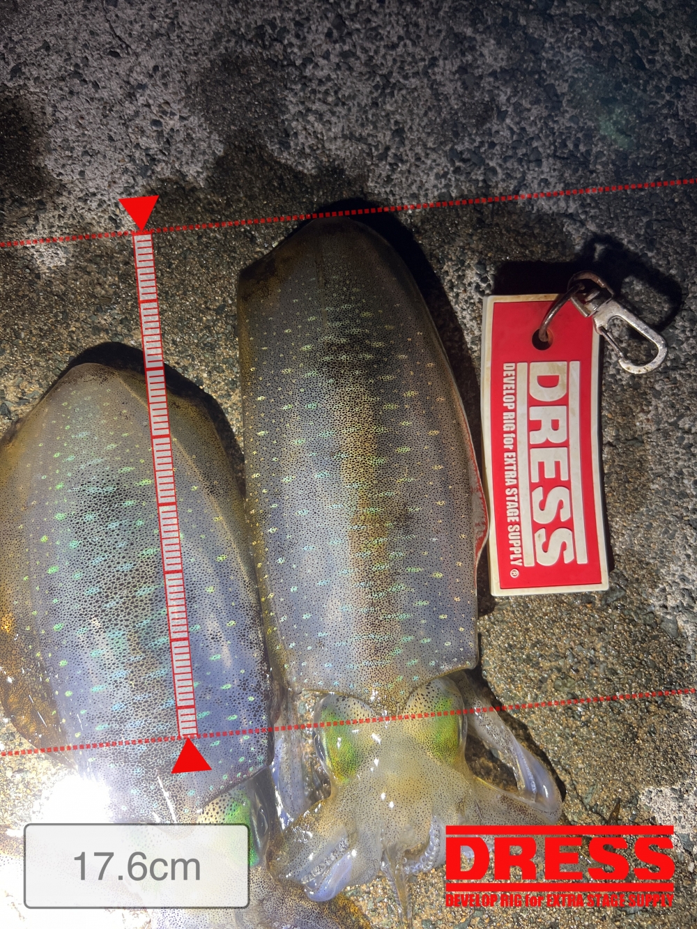 3949_0_1c696e2ff0b8792c8c64783b7d0839b1