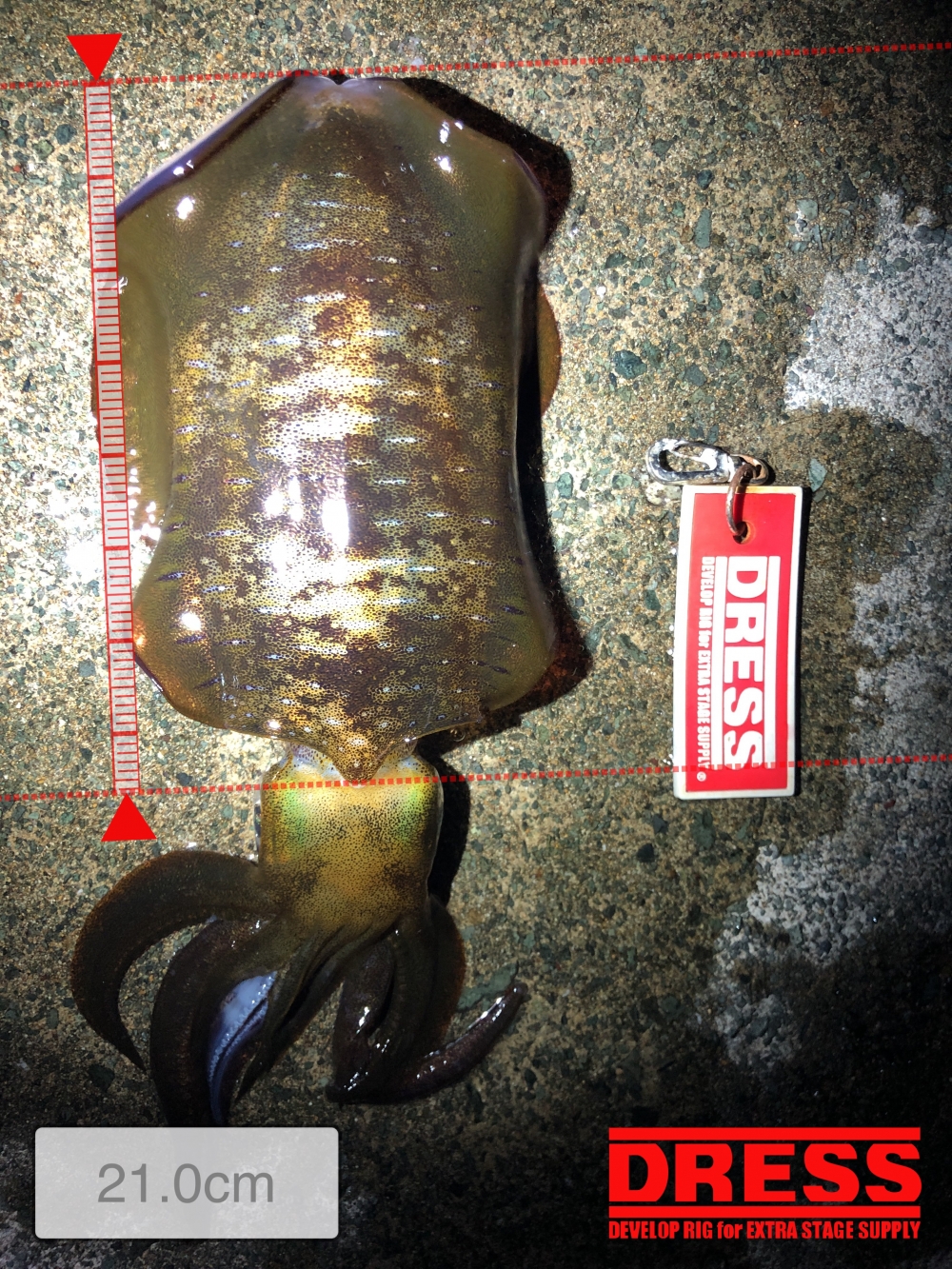 3949_0_b431dac416cc877ada449fbb171004ca