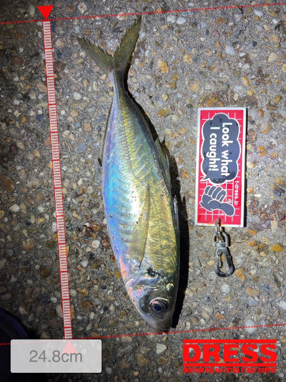 3949_0_ba622702678ed0cc4cc02179ddbd107d