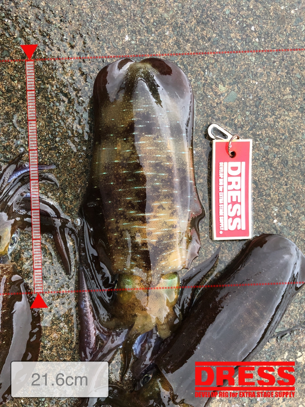 3949_0_c284fbf23f7be9a5145bee59cce2d7ab