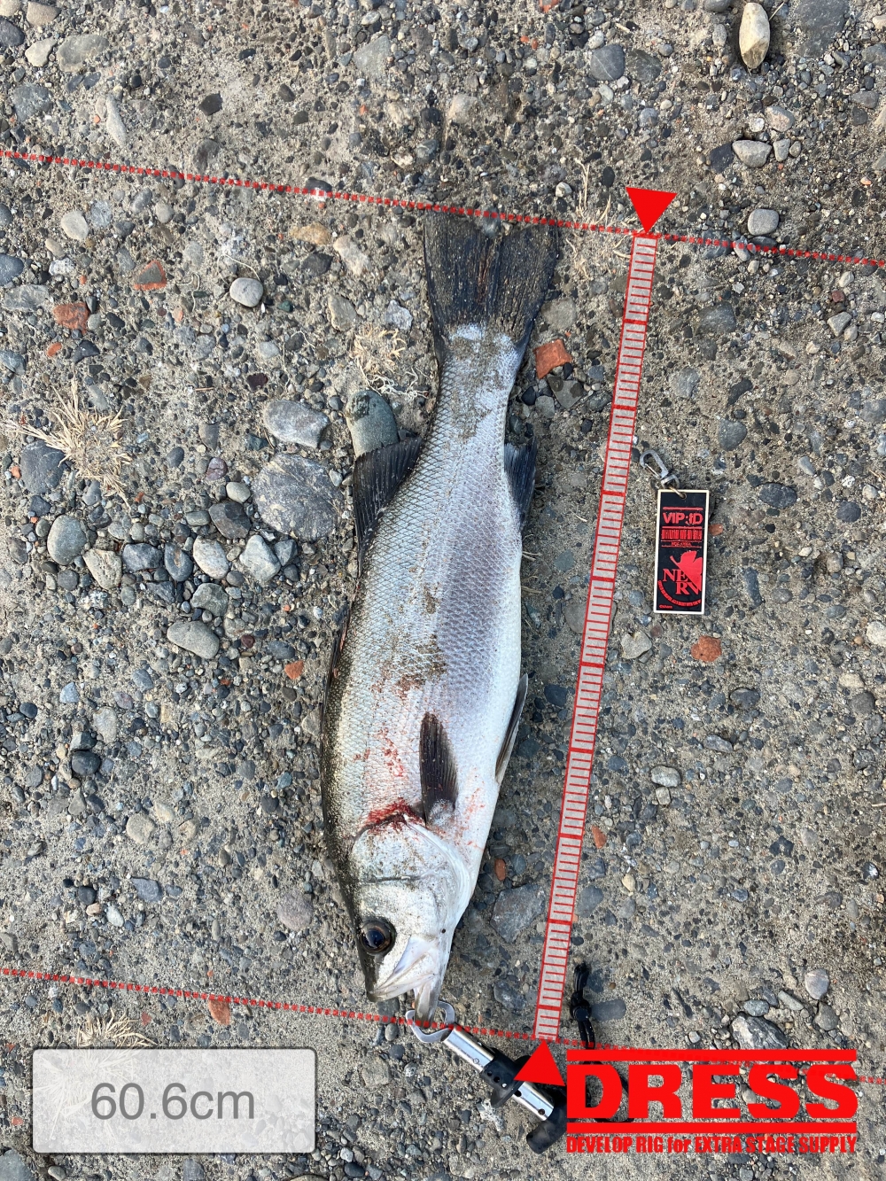 4023_0_5d6c447ab207dc944d20fe5d4feea1b5