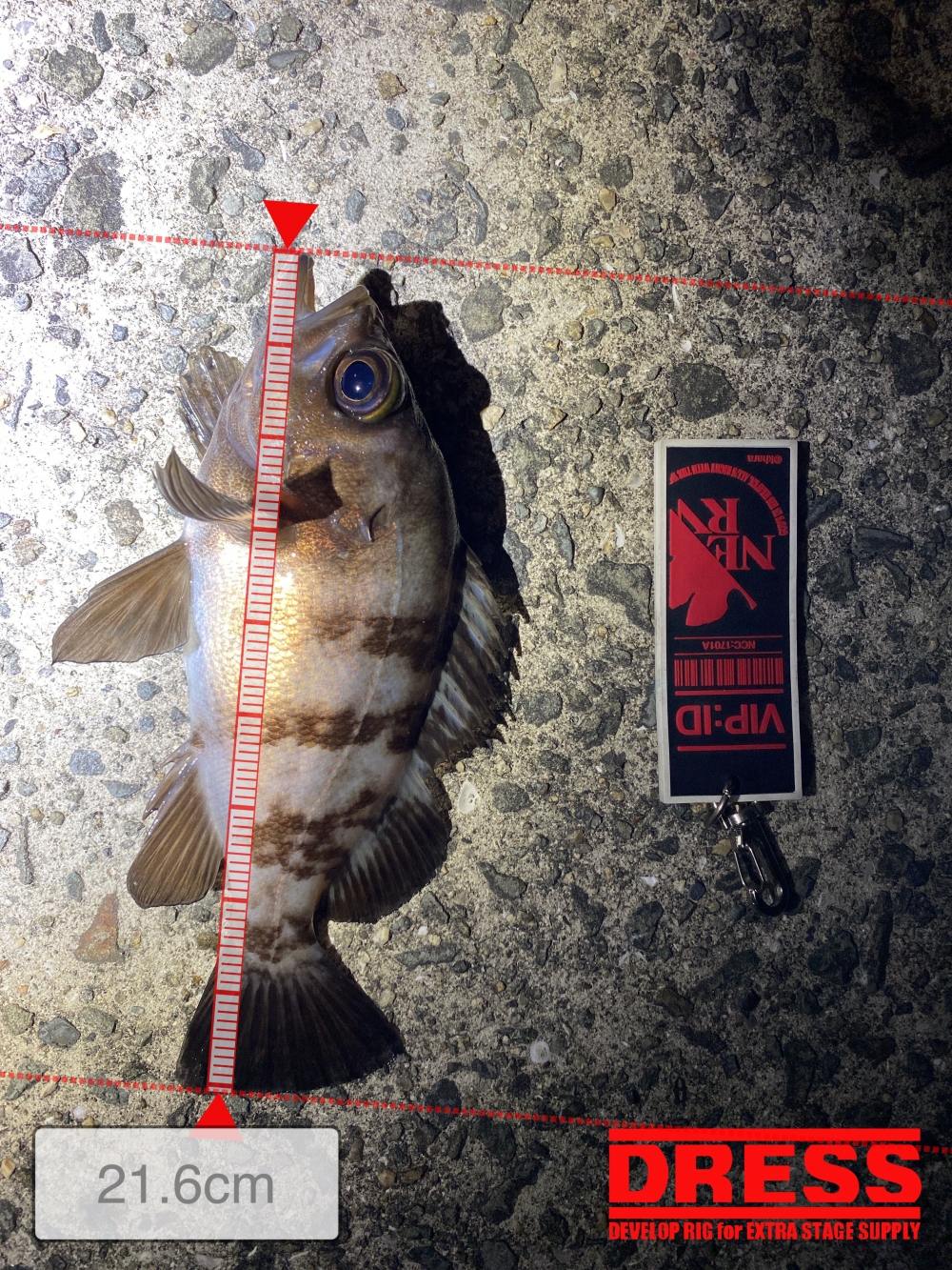 4484_0_58a2fa10c5f9bf54c09a4b327488dd7a