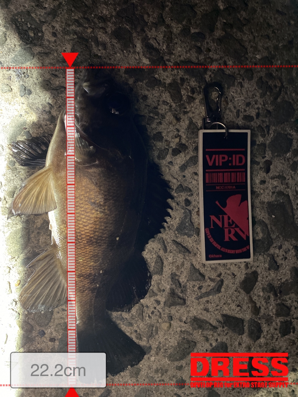 4484_0_f6bef3c960dd9f5c8422886799f4de9a