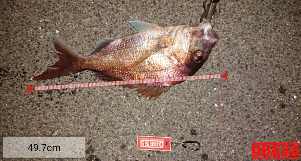 4555_0_10479c540710a2dd04317c9cbb0ea0eb