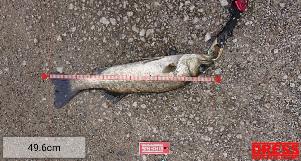 4555_0_138fc9638dbb4ce573586f7ff5d62b2a