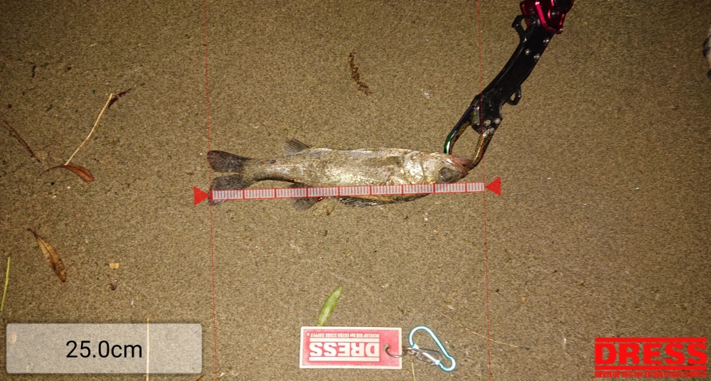 4555_0_2480ae45c7180ea963e105eda2f0ba0d