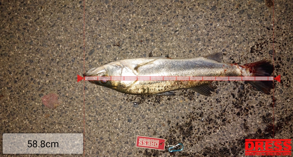 4555_0_721c4a4fb59e8ca94733dfd47724baab