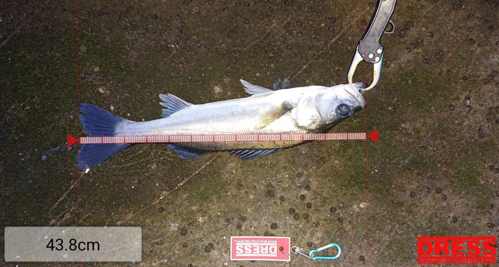 4555_0_73ba62c8304a054c29b429218944d38e