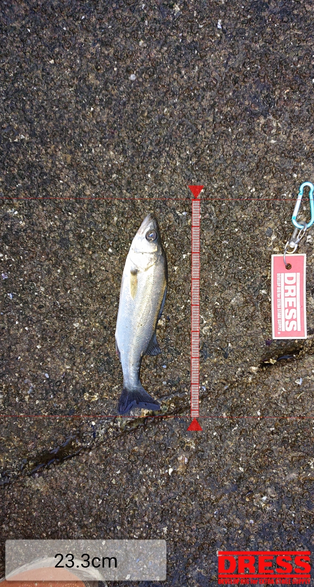 4555_0_b3b28c219f51acb633791efab41c75a0