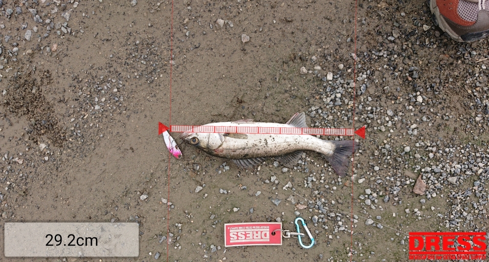 4555_0_cf78e4d0816d182c002a45175ea613ee