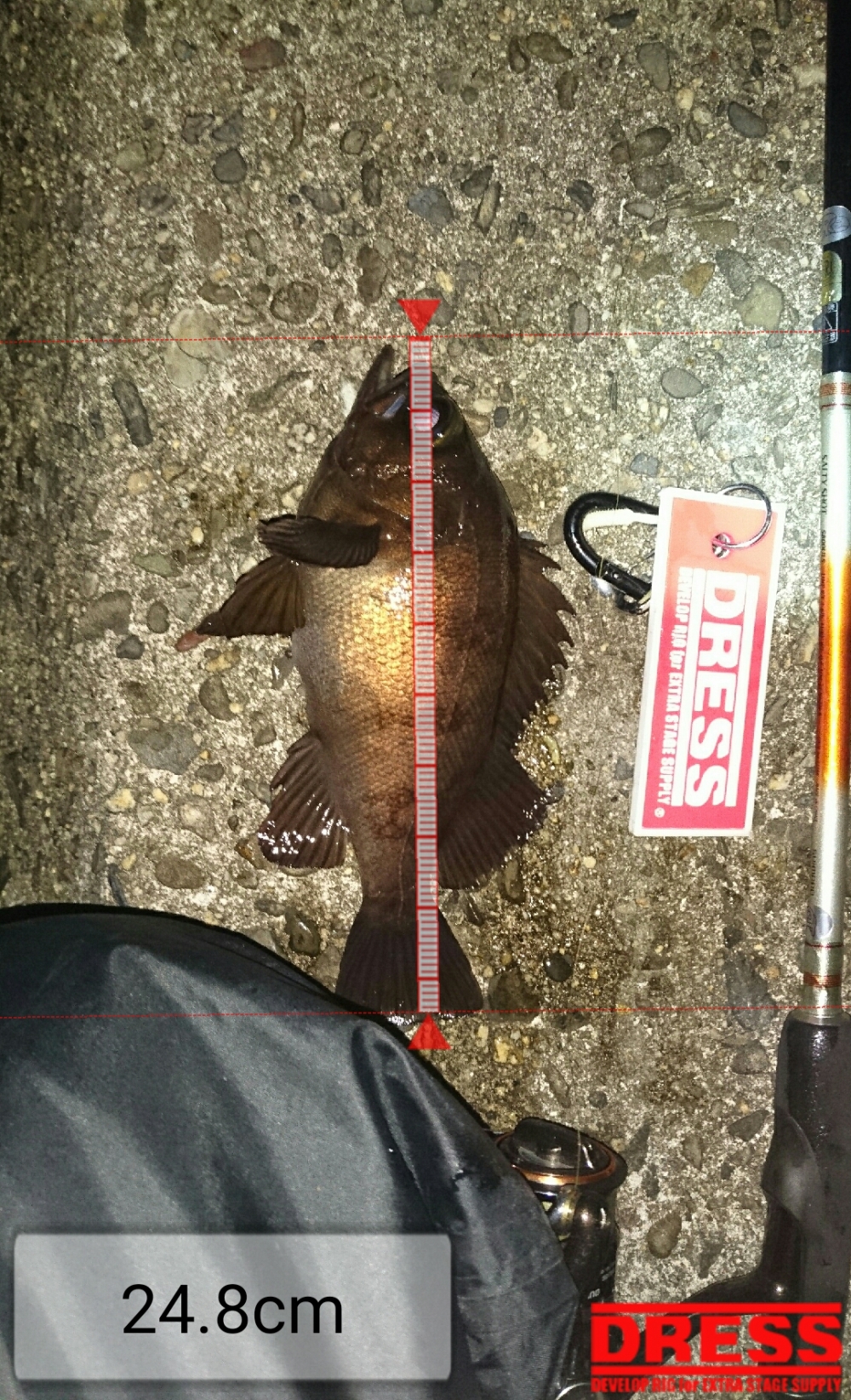 483_0_401c44d0bf313caae18256696fcf12d1
