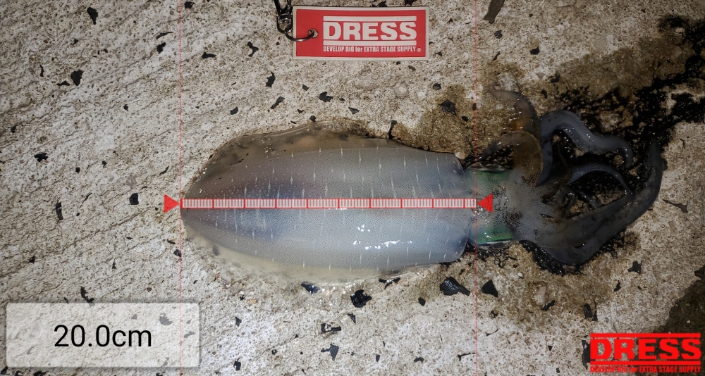 4920_0_04c9a1616898249983b2e03a52c6403e