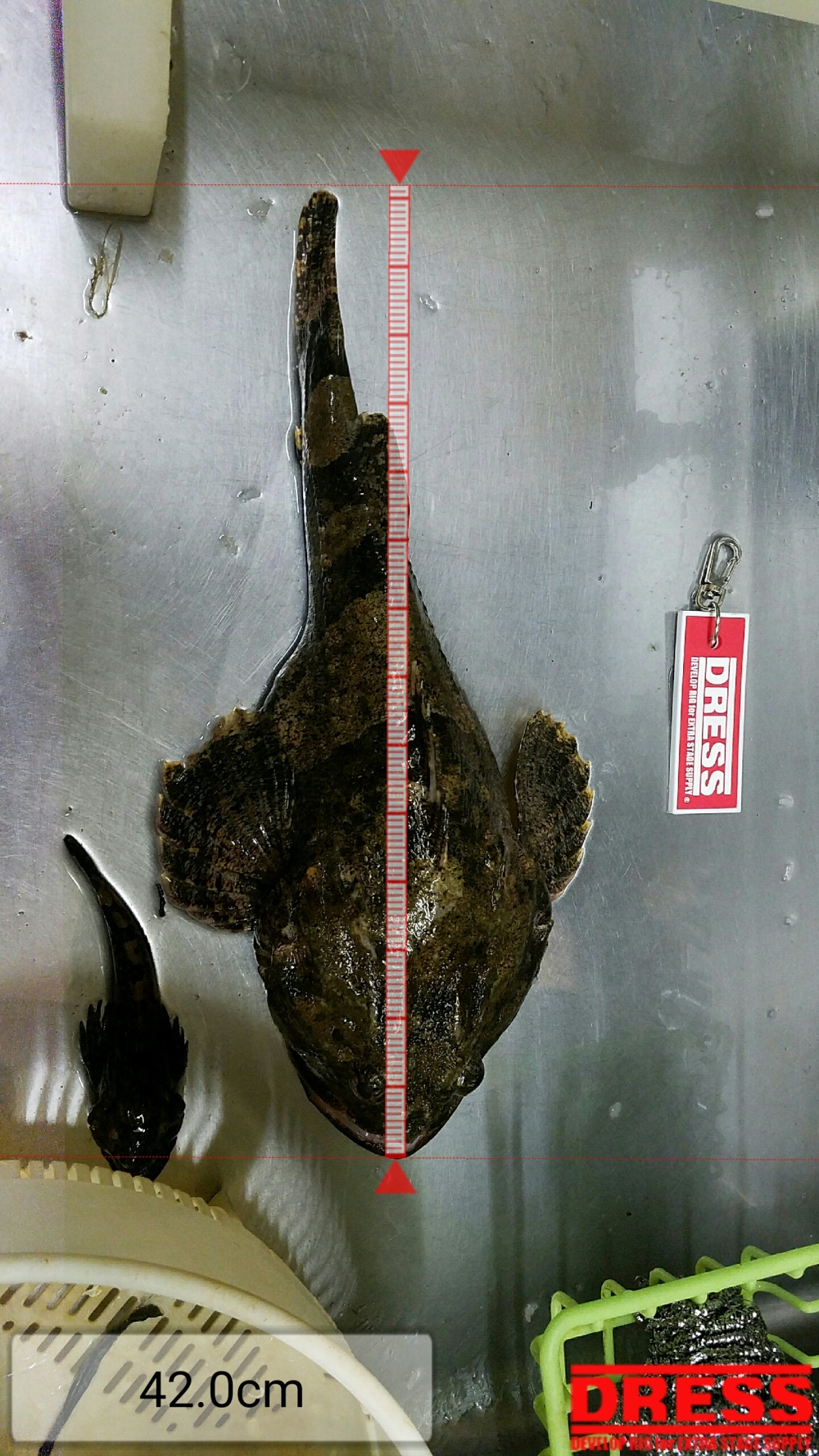 494_0_a1718c87e85e22c299b4915bd15a0cf6